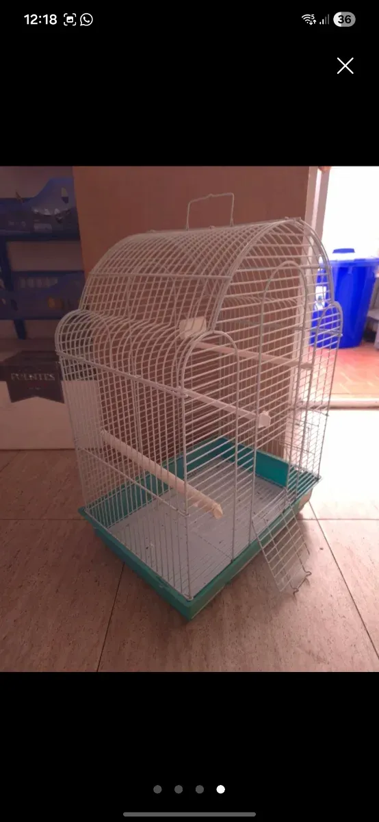 Jaula para pájaros blanca y verde