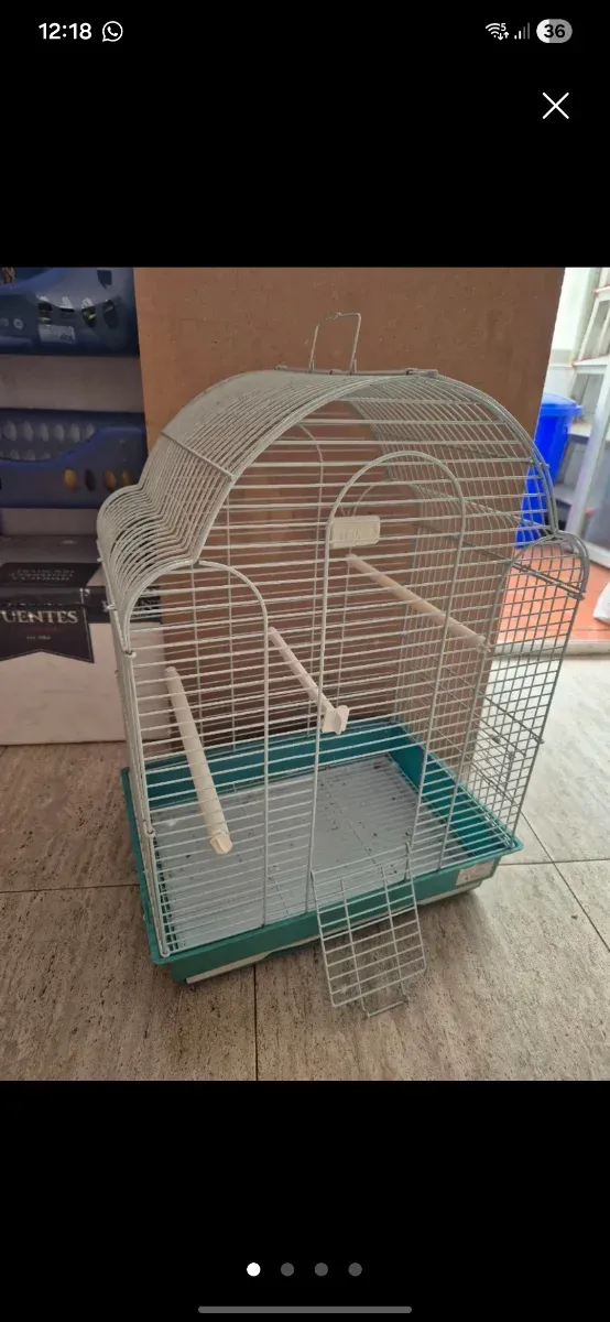 Jaula para pájaros blanca y verde