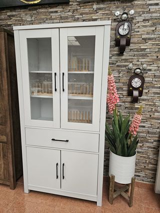 Vitrina de madera y cristal