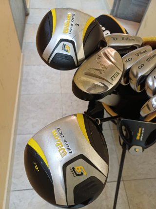 Set de 10 Palos de Golf con carrito Wilson