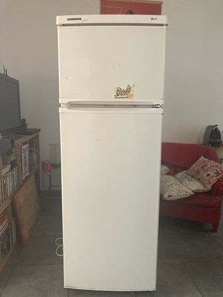 Nevera Liebherr
