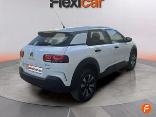 Citroën C4 Cactus PureTech 81KW (110CV) S&S Cool&Comfort