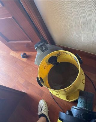 limpieza sofá,Colchones,Alfombras