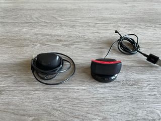 Samsung Gear Fit 2 Pro - (Large)