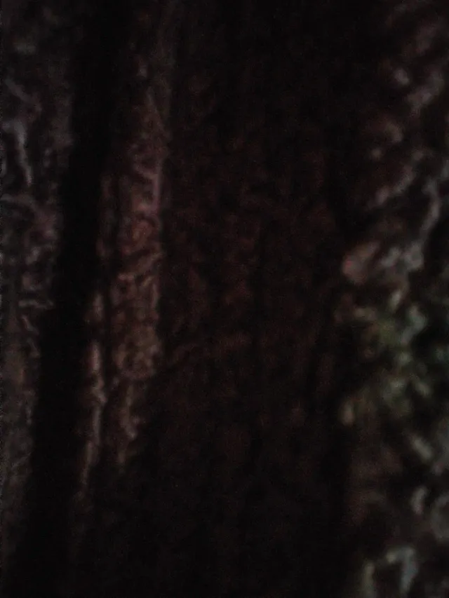 Abrigo largo de astracán y cuello de zorro