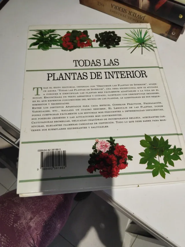 Todas las plantas de interior.