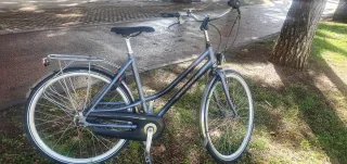 Bicicleta Holandesa Gazelle Orange