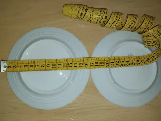 2 piatti antichi di Limoges