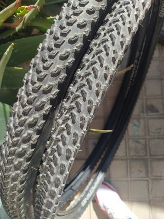 Cubiertas MTB 29 x 220