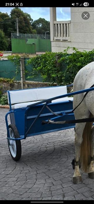 Carro de paseo para caballos