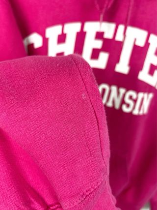 Sudadera Hoodie Mujer USA Wisconsin Rosa Retro Y2K