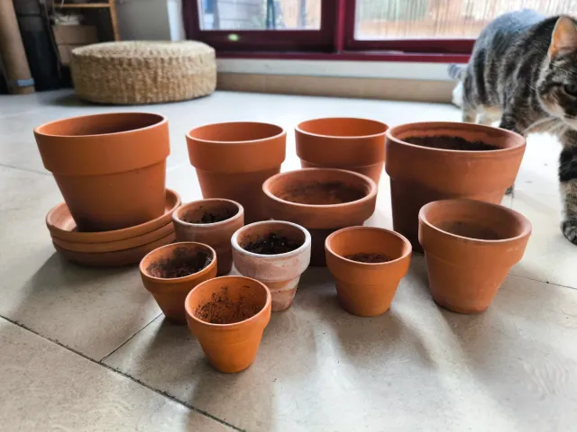 Lote Macetas Terracota