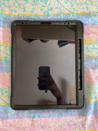 iPad Pro 12.9 4ª Gen