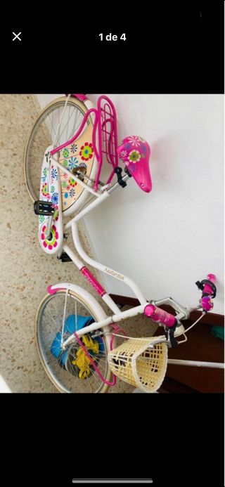 Bicicleta adulto