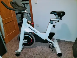 Bicicleta Spinning Ortus