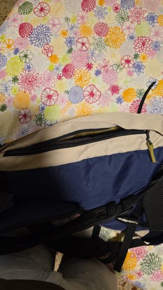 Mochila Quechua 30L Decathlon