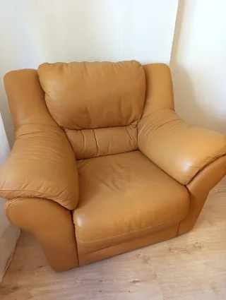 Conjunto Sofás de Piel Marrón