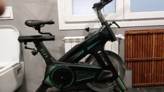 Bicicleta Spinning Cecotec Flex