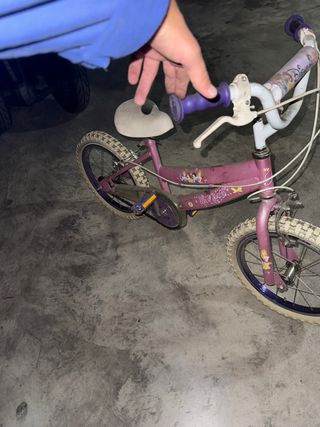 Bicicleta Niña Rosa Princesas