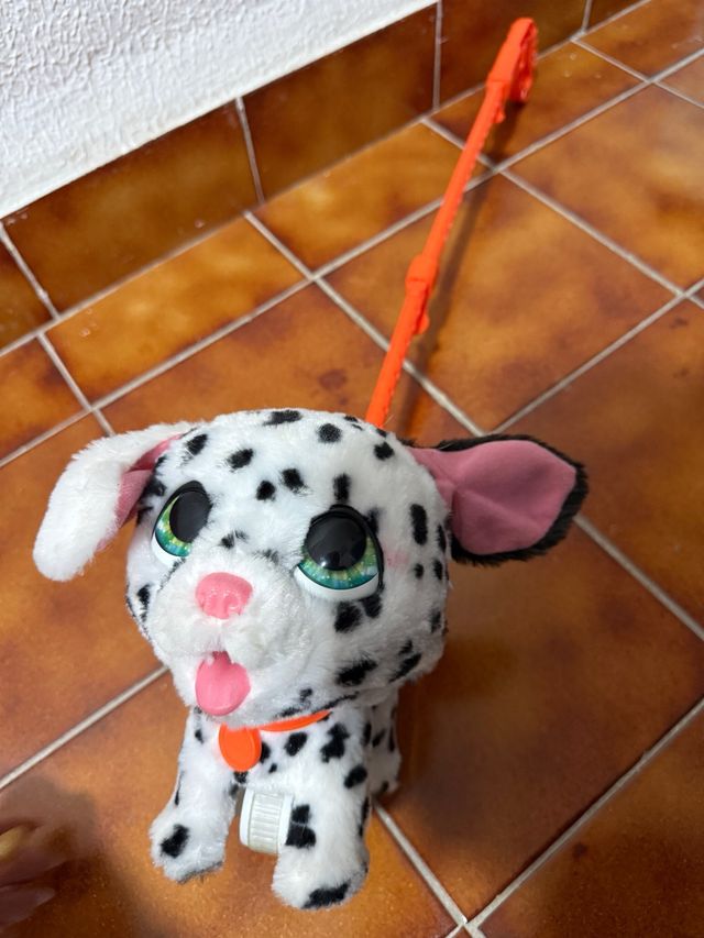 Perro dálmata con correa