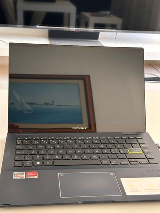 ASUS Vivobook TM420 Portátil
