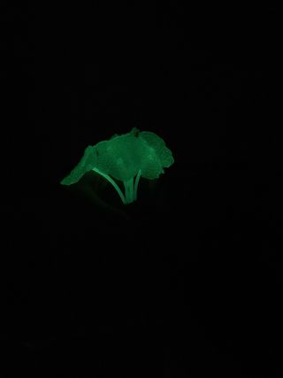 Plantas artificiales acuario