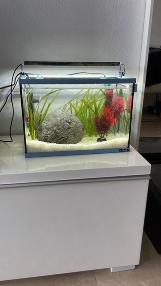 Plantas artificiales acuario