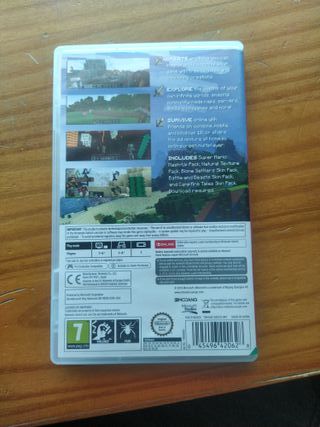Minecraft Nintendo Switch 