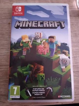 Minecraft Nintendo Switch