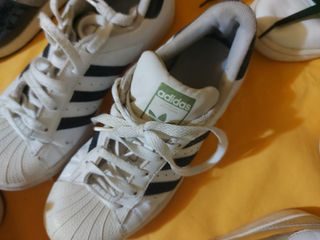 Lote de Zapatos Variados