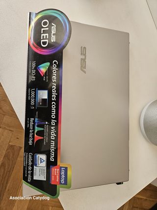 ASUS ZenBook 13 UX325 Plata