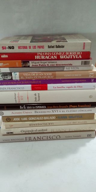Lote 14 Libros de Papas