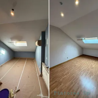 Pintor profesional Madrid y alrededores
