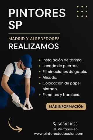 Pintor profesional Madrid y alrededores