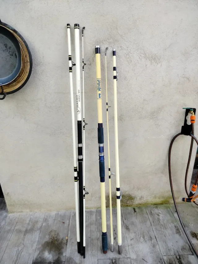 Canne da pesca