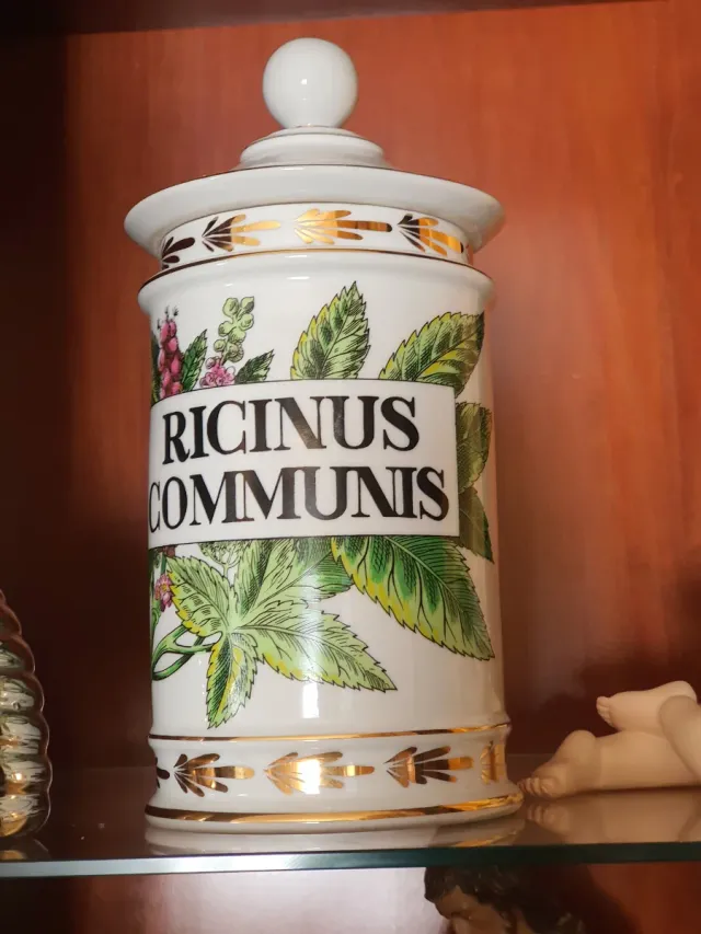 Bote Farmacia Antiguo Ricinus Communis