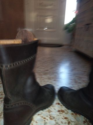 Botas Valverde del Camino Marrones