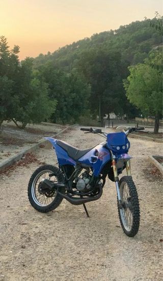 Suzuki RMX