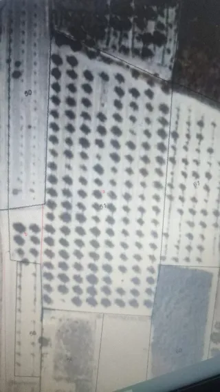 Terreno 5000m² cerca casco urbano