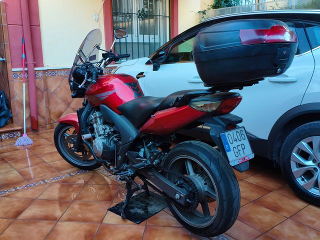 HONDA CBF 600
