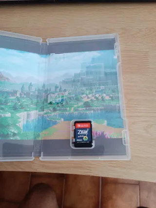 The Legend of Zelda: Echoes of Wisdom Switch
