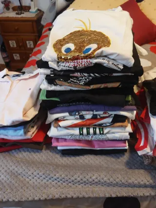 CHOLLAZO,Lote Ropa Mujer Multicolor