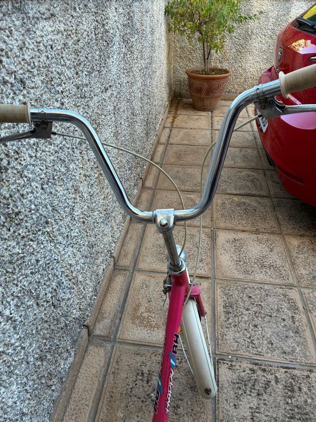 Bicicleta rosa vintage