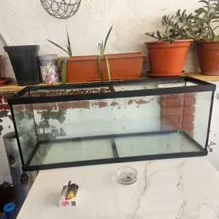 Pecera/Terrario 200L