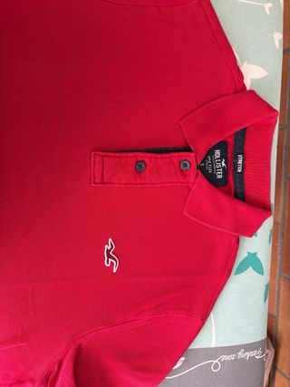 Polos Hollister Talla S