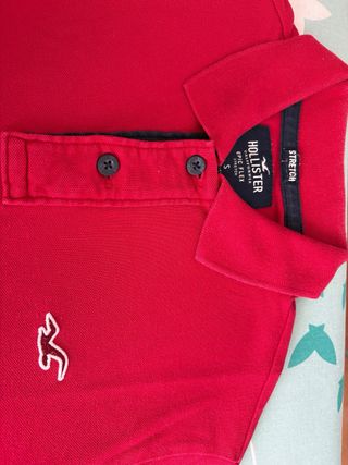 Polos Hollister Talla S