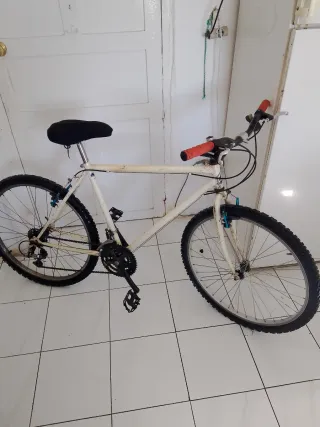 Bicicleta Montaña talla L de adulto de 26 pulgadas