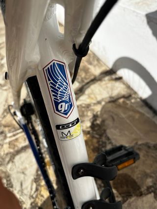 Bicicleta GT Karakoram Sport 29