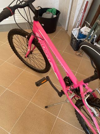 Bicicleta rosa