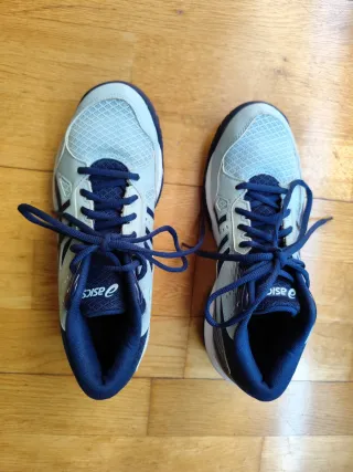 Zapatillas Asics Mujer Azul y Gris